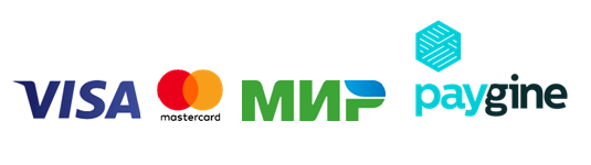 paygine_logo