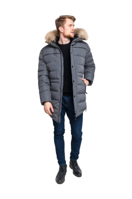 Фидель Н Серый  (1)-min